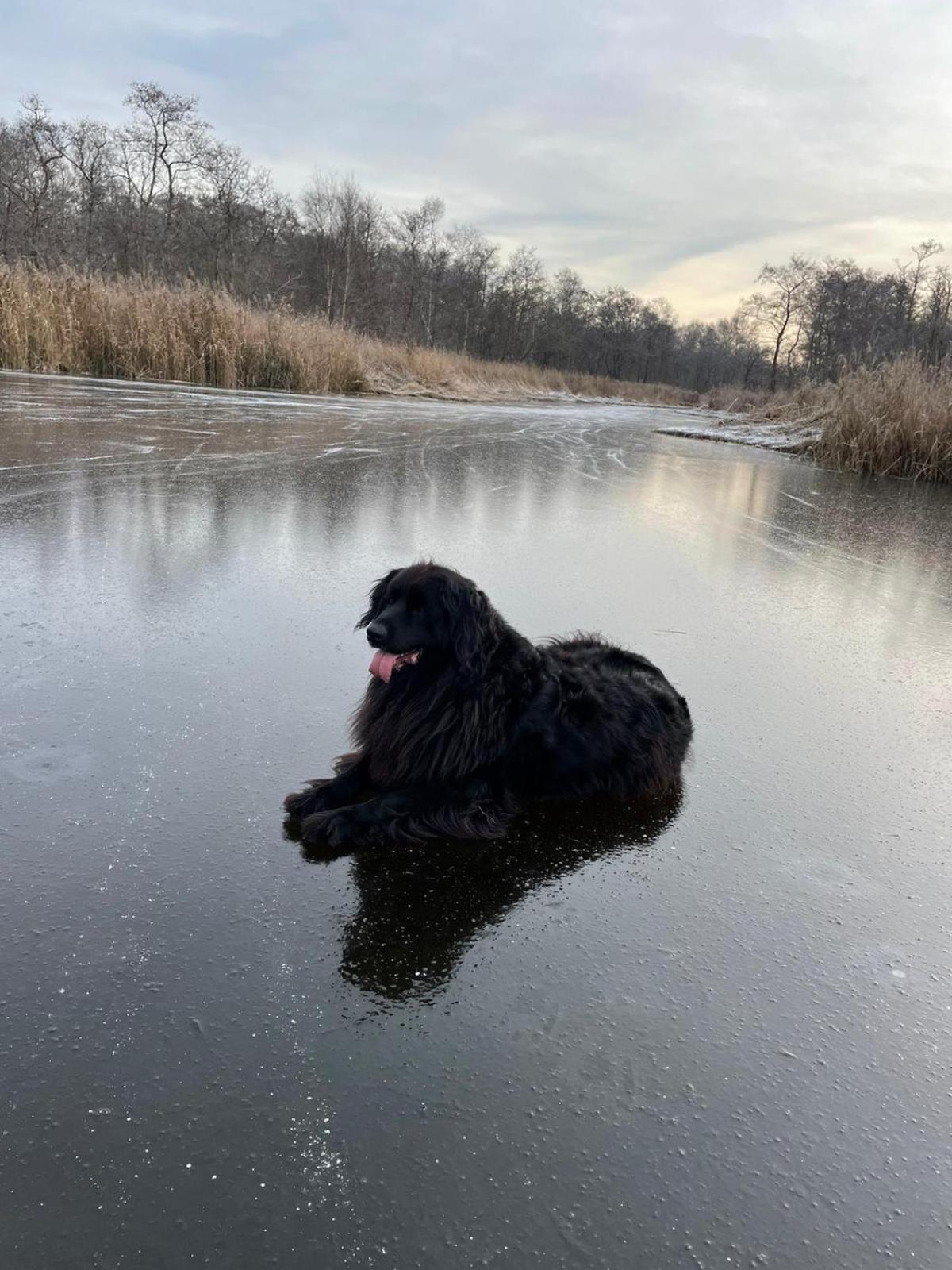 Huisje Op De Dijk Kortenhoef Kültér fotó