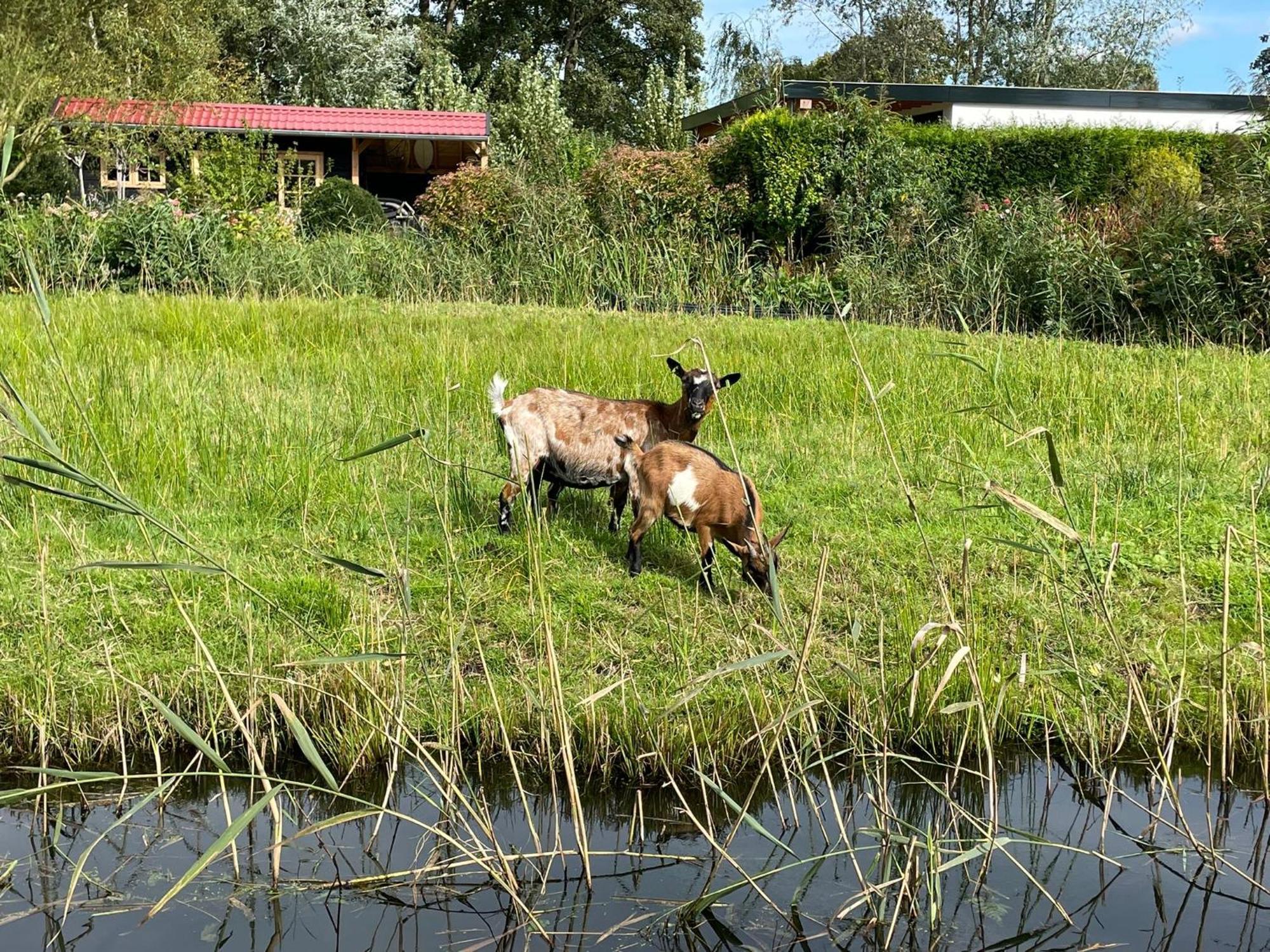 Huisje Op De Dijk Kortenhoef Kültér fotó